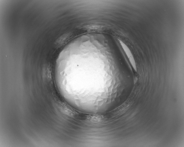 X0000060760282200512011522