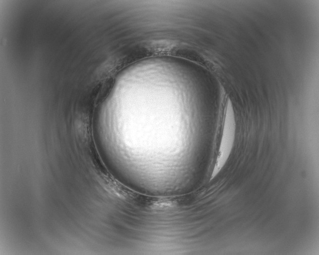 X0000060760283200512011522