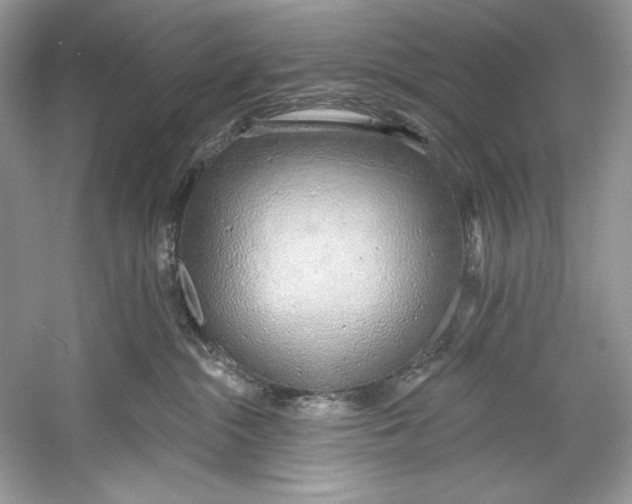 X0000060760284200512011522