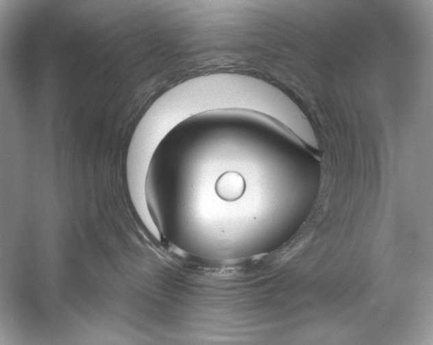 X0000060760288200512011522