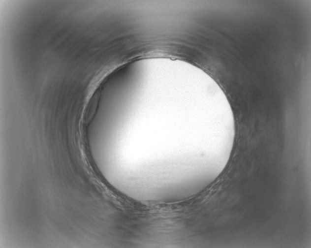 X0000060760289200512011521