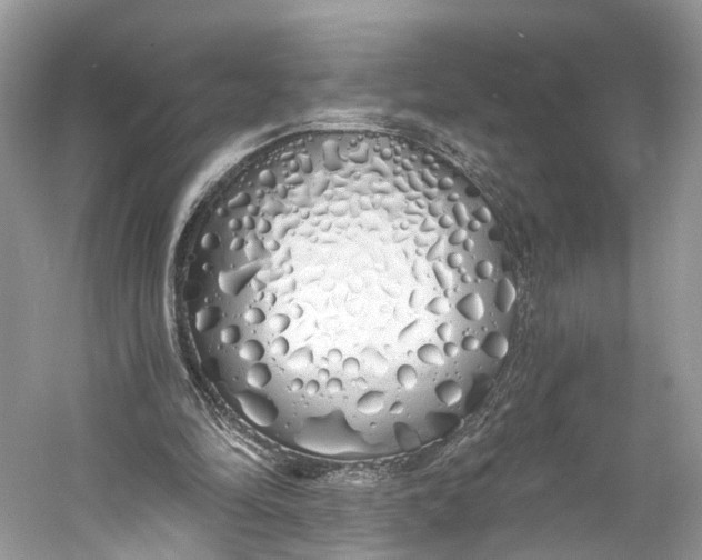 X0000060760294200512011521