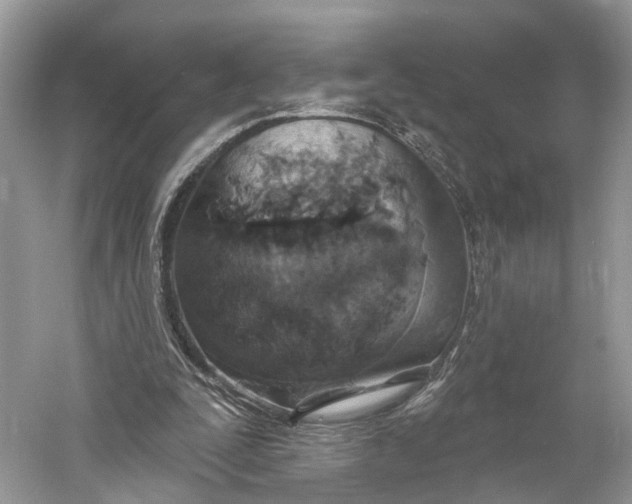 X0000060760295200512011521