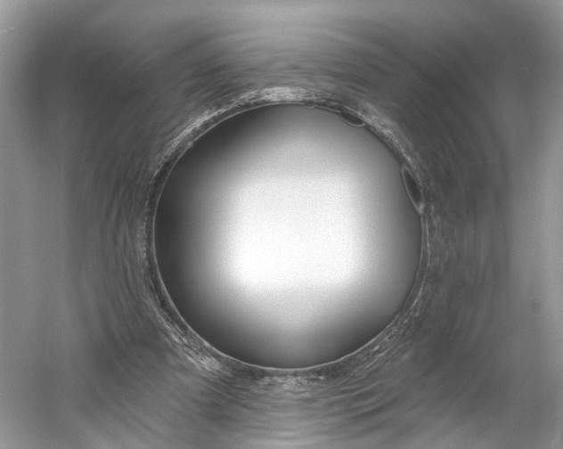 X0000060760297200512011521