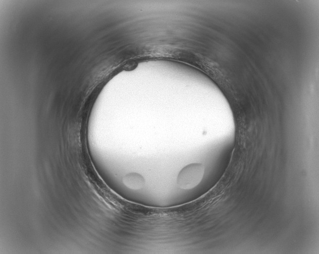 X0000060760299200512011521