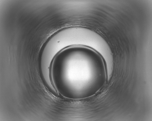 X0000060760301200512011521