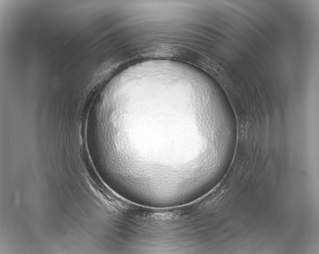 X0000060760302200512011521