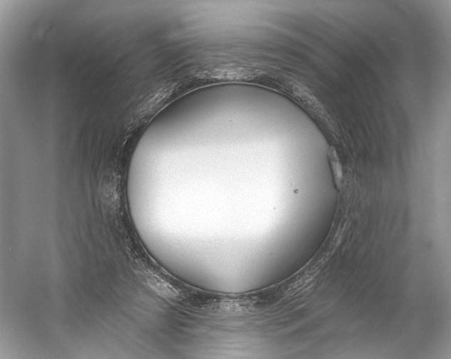X0000060760305200512011521