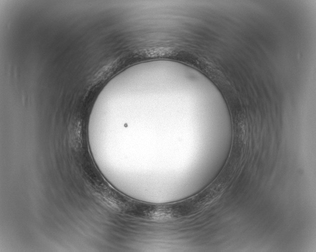 X0000060760308200512011521