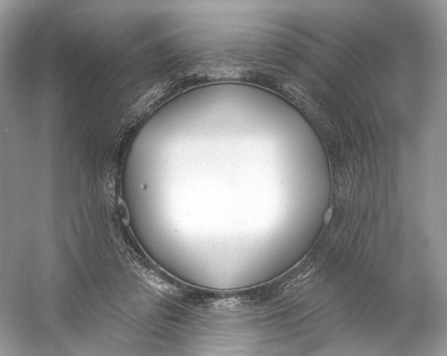 X0000060760309200512011521