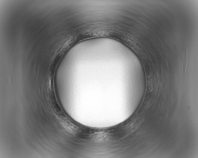 X0000060760310200512011521