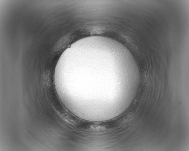 X0000060760311200512011521