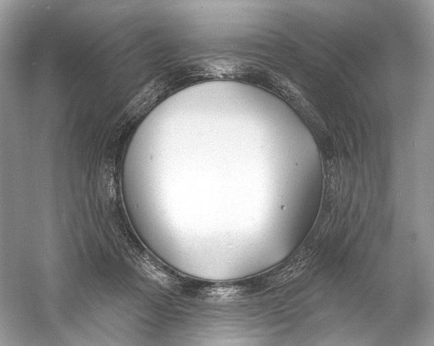 X0000060760313200512011521