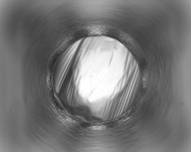 X0000060760314200512011521