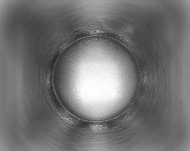 X0000060760315200512011521