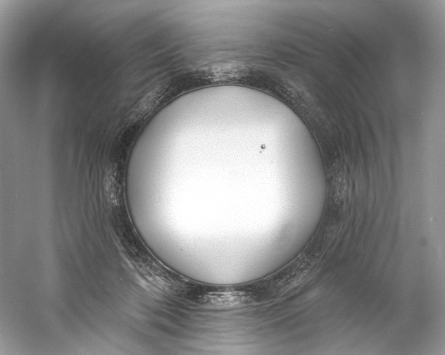 X0000060760316200512011521
