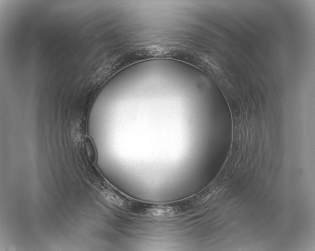 X0000060760317200512011521