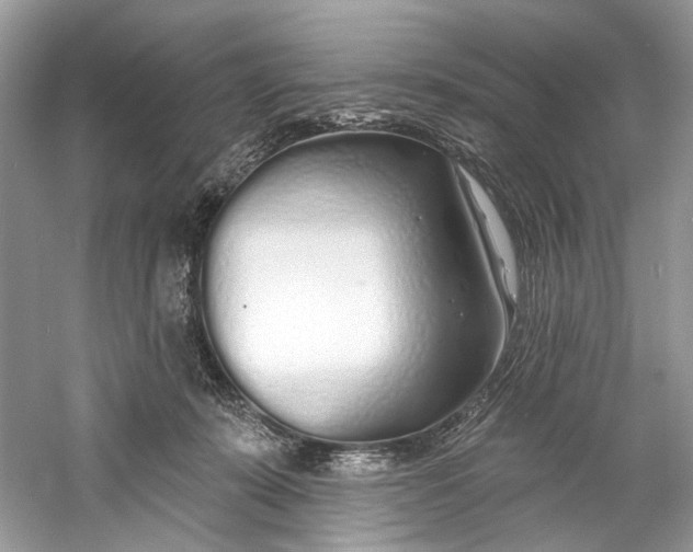 X0000060760319200512011521