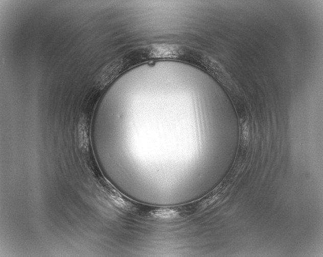 X0000060760322200512011521