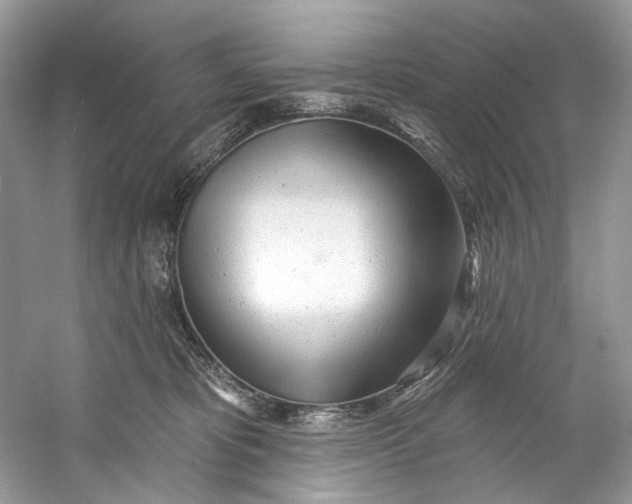 X0000060760325200512011520