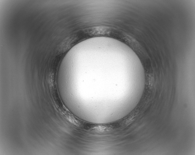 X0000060760326200512011520