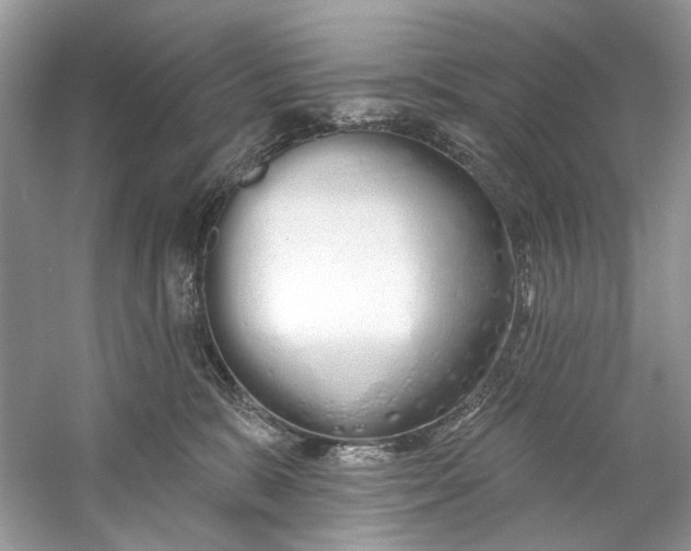 X0000060760327200512011520