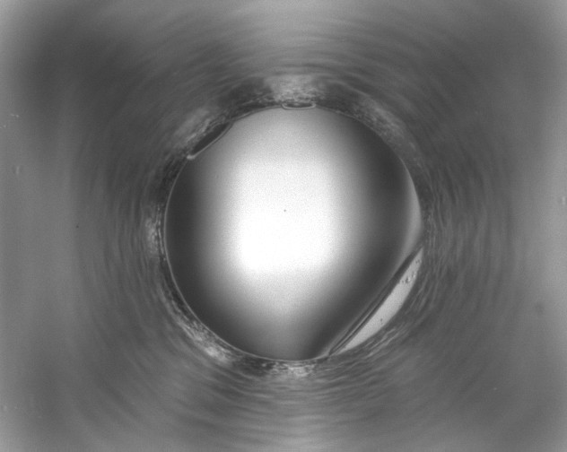 X0000060760329200512011520