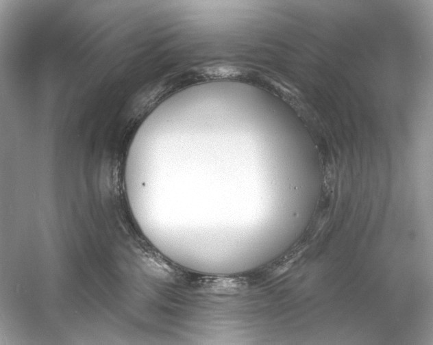 X0000060760330200512011520