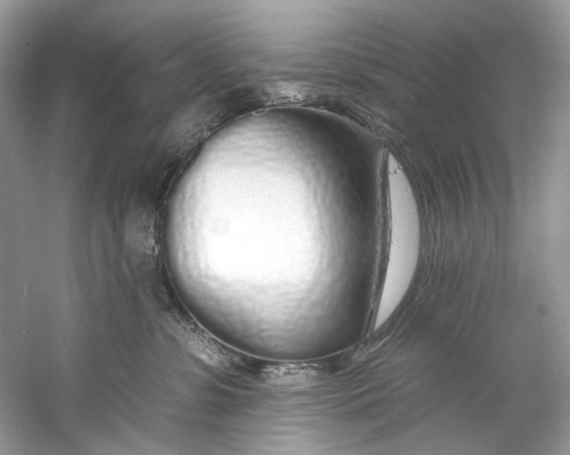 X0000060760331200512011520