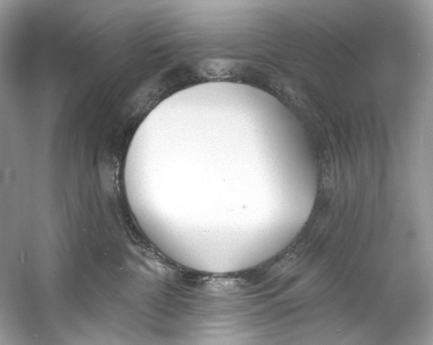 X0000060760332200512011520