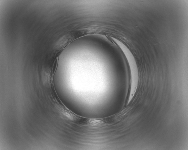 X0000060760333200512011520