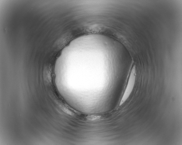 X0000060760334200512011520