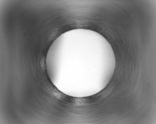 X0000060760336200512011520