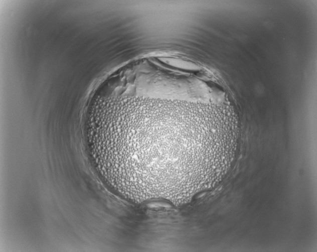 X0000060760337200512011519