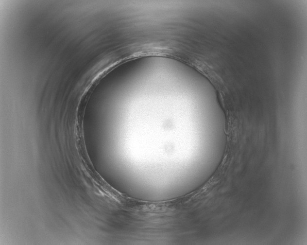 X0000060760338200512011519