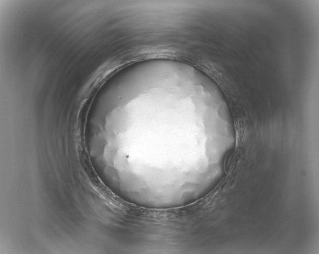 X0000060760339200512011519