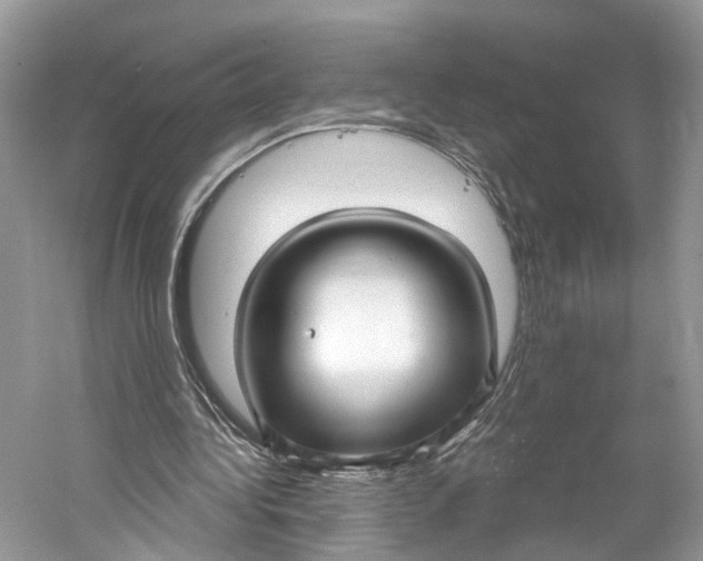 X0000060760340200512011519
