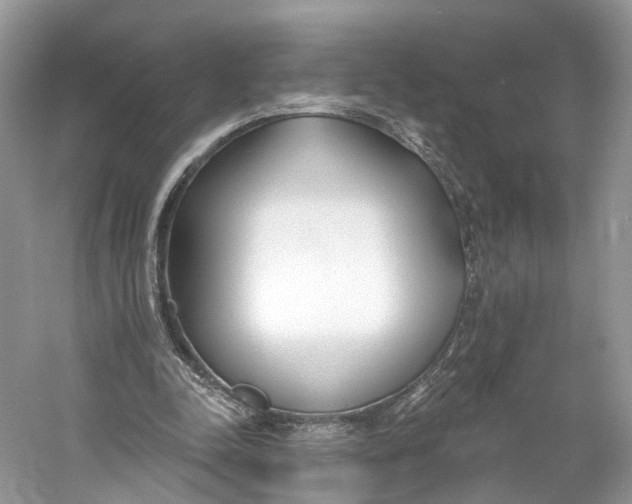 X0000060760342200512011520