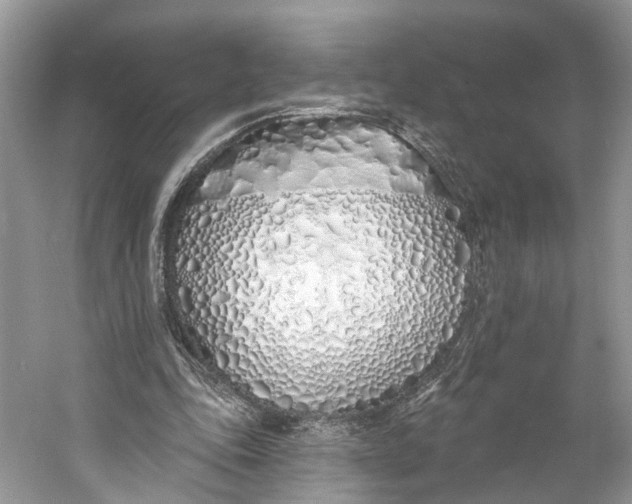 X0000060760343200512011520