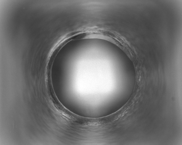 X0000060760344200512011520