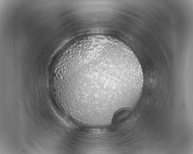 X0000060760347200512011520