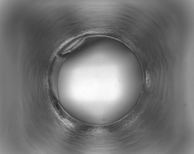 X0000060760348200512011520