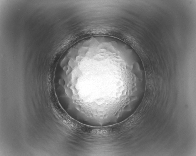X0000060760354200512011520
