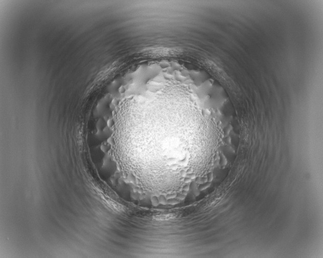 X0000060760357200512011520