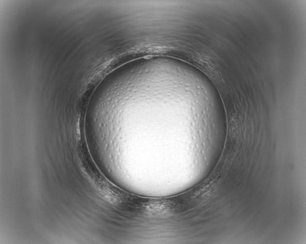 X0000060760358200512011520