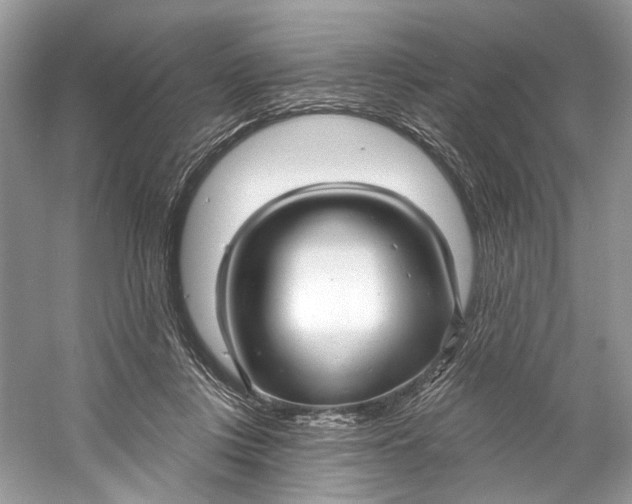 X0000060760359200512011520