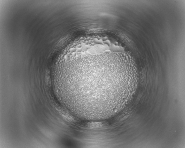X0000060760361200512011520