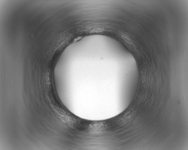 X0000060760362200512011520