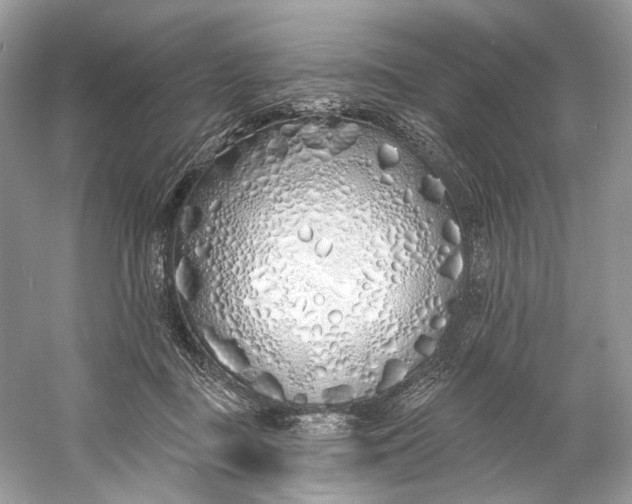 X0000060760363200512011520