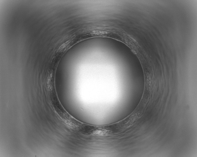 X0000060760364200512011520